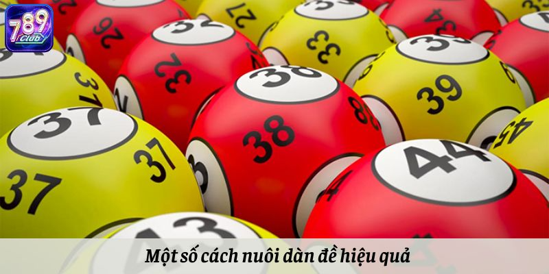 Chia sẻ một vài cách tạo dàn đề hay