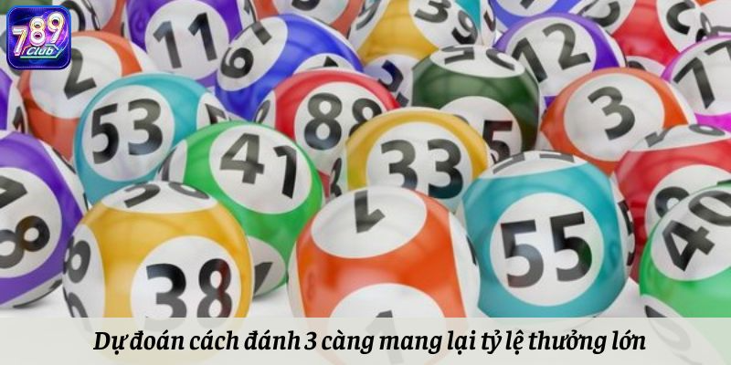 Dự đoán cách đánh 3 càng mang lại tỷ lệ thưởng lớn