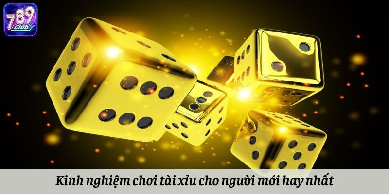 Kinh nghiệm chơi tài xỉu cho người mới hay nhất