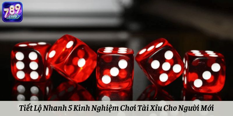 Tiết Lộ Nhanh 5 Kinh Nghiệm Chơi Tài Xỉu Cho Người Mới