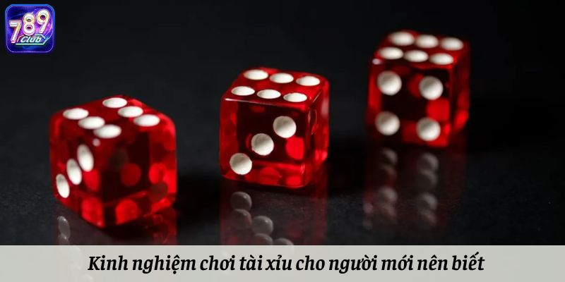 Kinh nghiệm chơi tài xỉu online mà tân thủ nên học hỏi