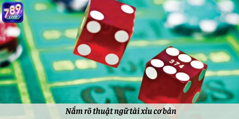 Nắm rõ thuật ngữ tài xỉu cơ bản