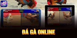 Đá Gà Online Là Gì? Tổng Hợp 3 Hình Thức Chơi Hot Nhất