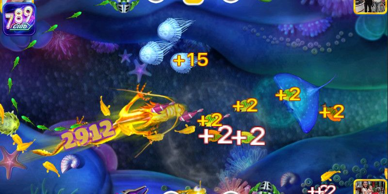 Đóng băng đại dương